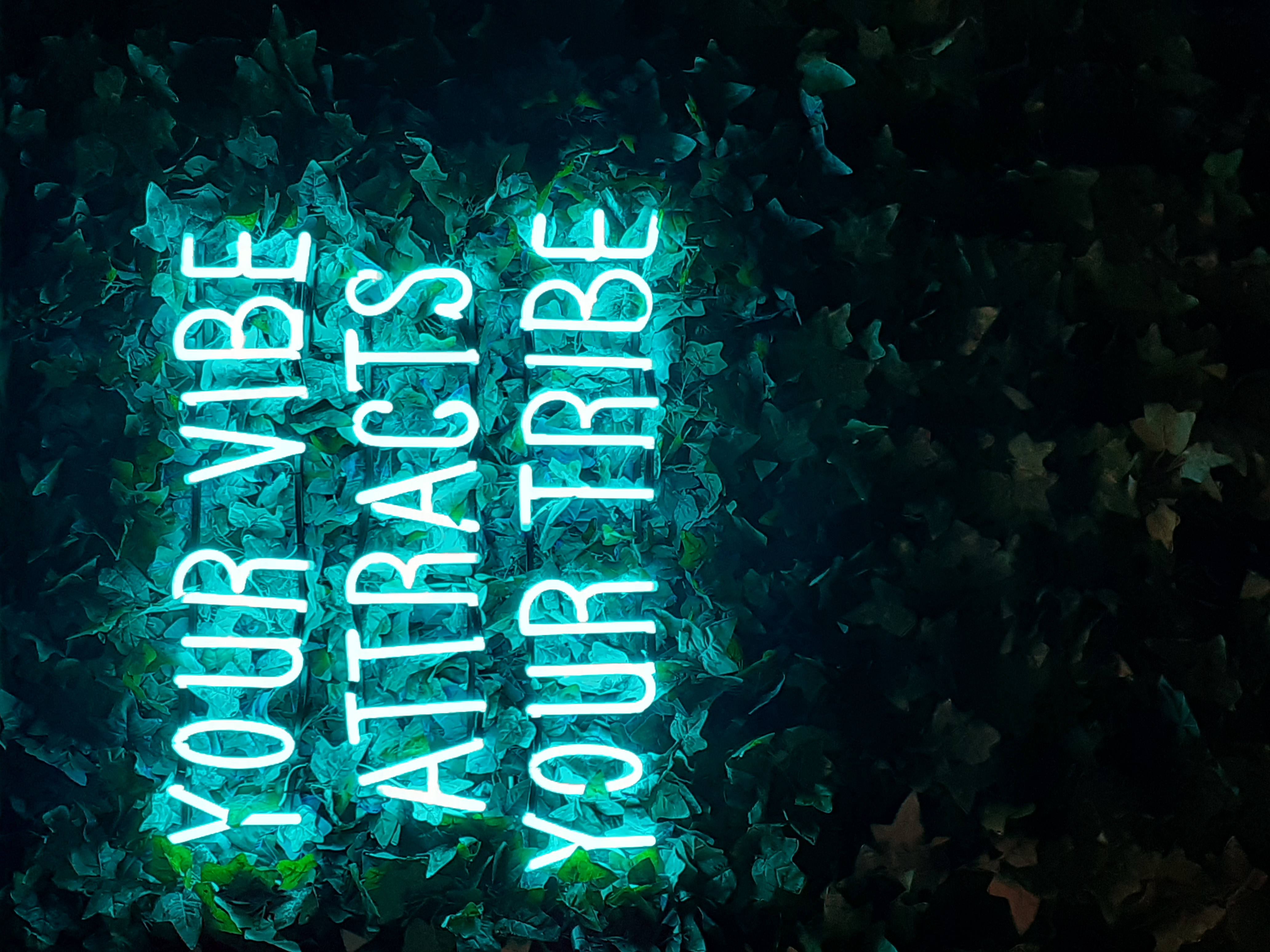 Latest Products Image