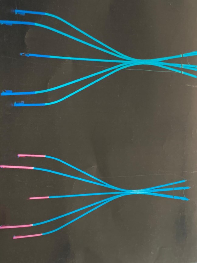 Latest Products Image