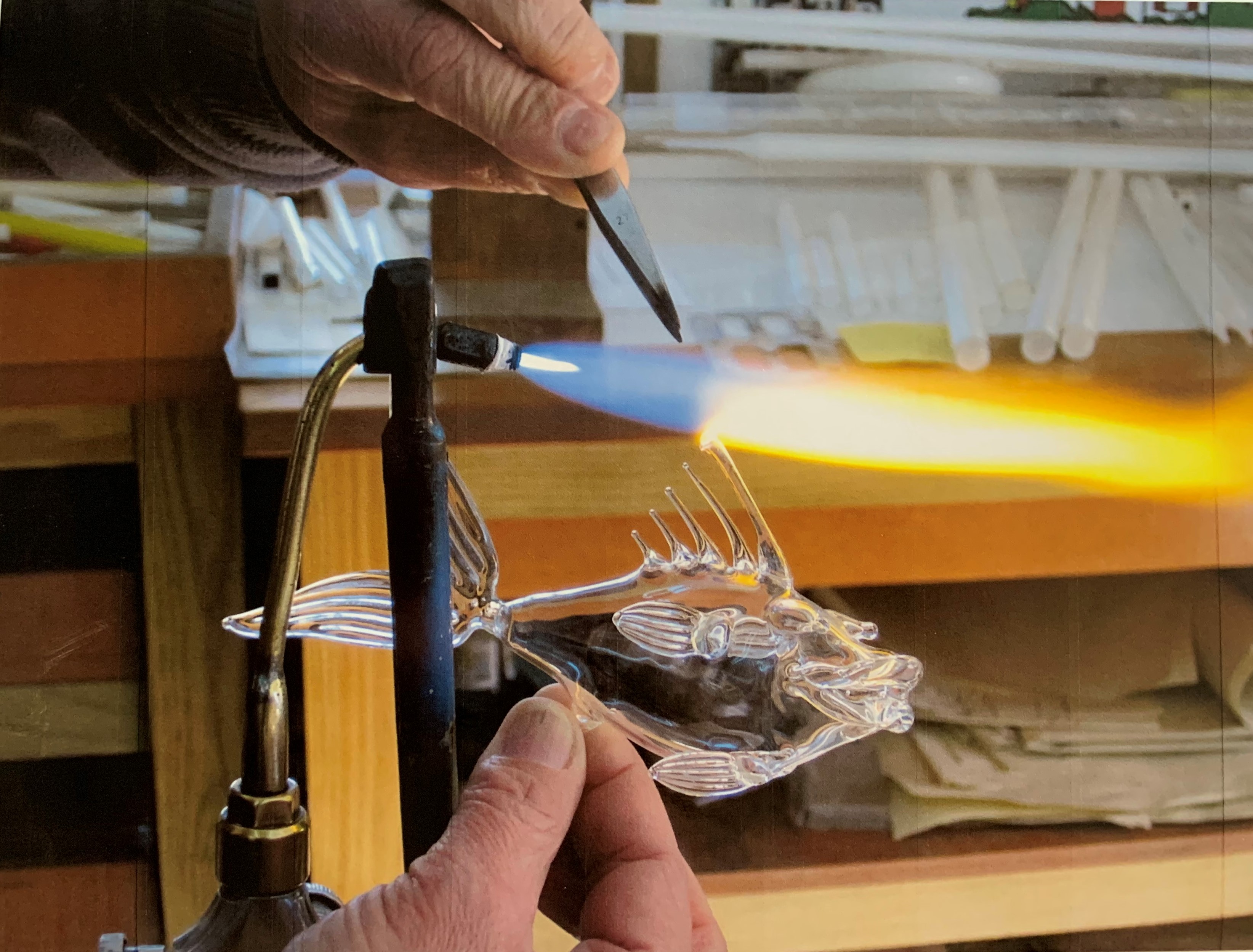 Latest Products Image